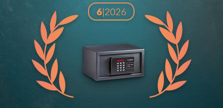 Tresor des Monats Juni 2026: Dometic ProSafe Standard MD 310 - Tresor des Monats: Dometic ProSafe Standard MD 310 | Juni 2026