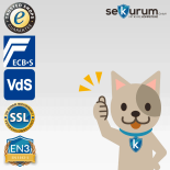 Burg Wächter Royal 532 Wertschutzschrank mit Schlüsselschloss SecuSafe