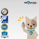 Format Seguro 20 Wertschutzschrank