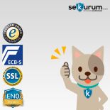 Format Seguro 30 Wertschutzschrank