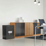 Rottner Monaco 65 Wertschutzschrank
