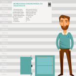 Bordogna ANDROMEDA 55 Wandtresor mit Schlüsselschloss