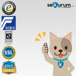 CLES protect AT2 Wertschutztresor mit Elektronikschloss TULOX