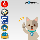 CLES puma 50 Wertschutztresor mit Elektronikschloss CB90