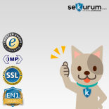 CLES lynx 67T Wertschutzschrank mit Schlüsselschloss